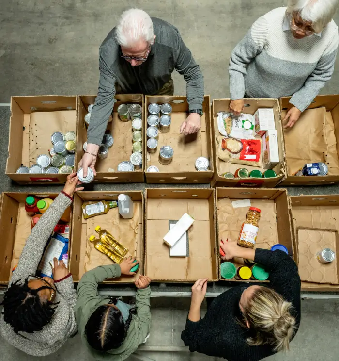 Community support services and assistance programs in Fulton County